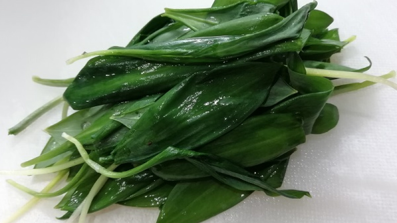 2. Čerstvý medvedí cesnak dôkladne umyjeme, osušíme. Potom ho krájame na menšie kúsky.