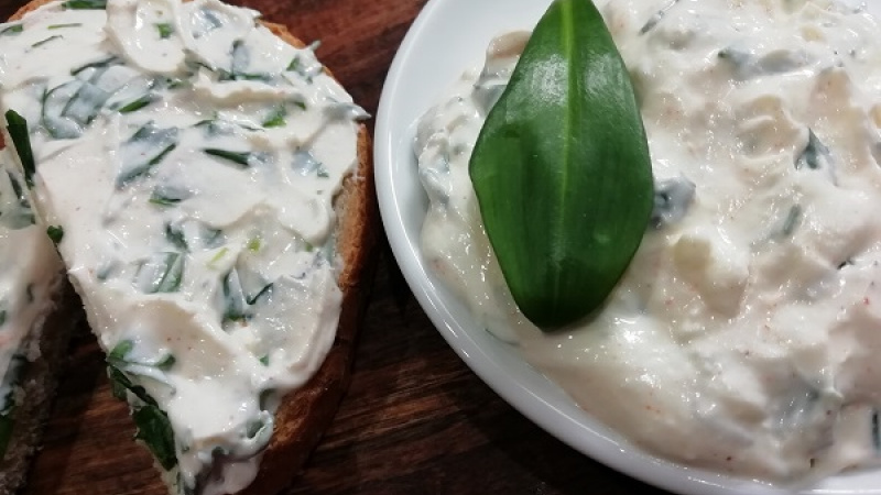 Tip Dobrej kuchyne: Nemáte doma čerstvý medvedí cesnak, ale máte pesto z medvedieho cesnaku? Pridajte ho do našej výživnej bryndzovej pomazánky. Medvedí cesnak je skutočným pokladom pre naše zdravie.
Dobrú chuť.
