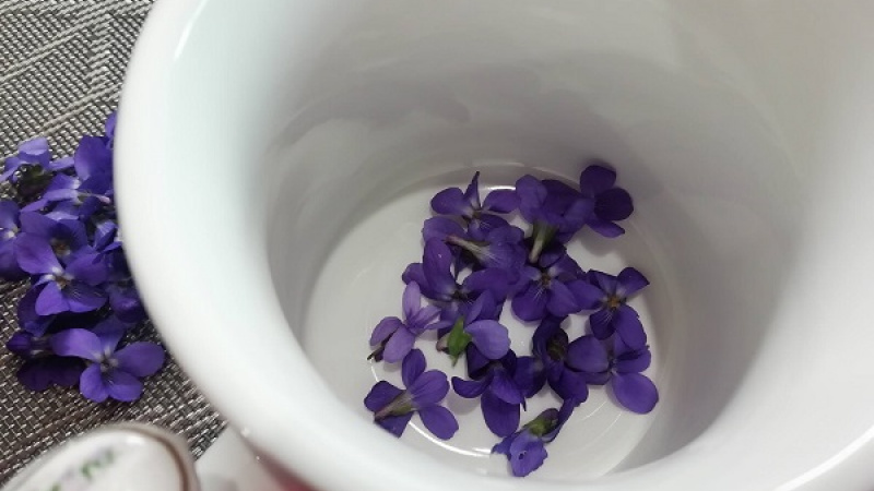 1. Kvety fialiek zbierame na čistých miestach. Stačí ich jemne potriasť, aby sme odstránili chrobáčiky. Môžeme ich opatrne prepláchnuť vodou.