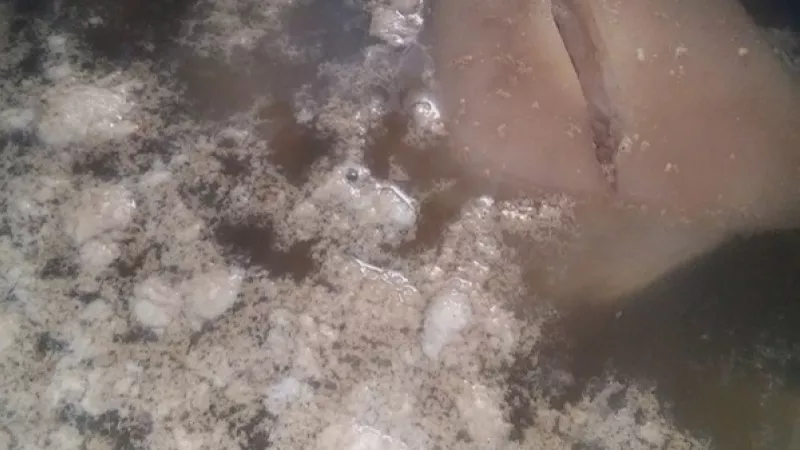 2. Necháme vyzrážať bielkoviny, na povrchu sa urobí pena. Vývar zlejeme, mäso a kožky poriadne umyjeme, hrniec taktiež. Všetko vrátime naspäť do hrnca, nalejeme cca 4,5 l vody.