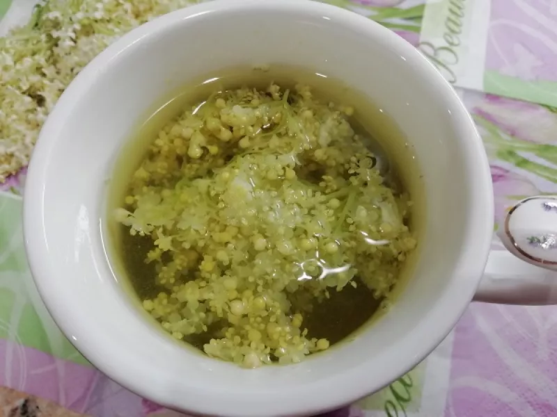 Ako správne sušiť bazu, RECEPT na zdravý bazový čaj