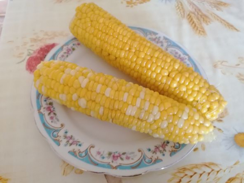Najlepšia varená kukurica, recept ako dlho sa varí kukurica