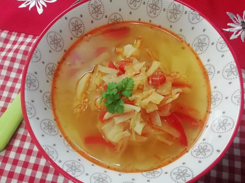 Slávna tukožrútska polievka, zdravý a fit RECEPT