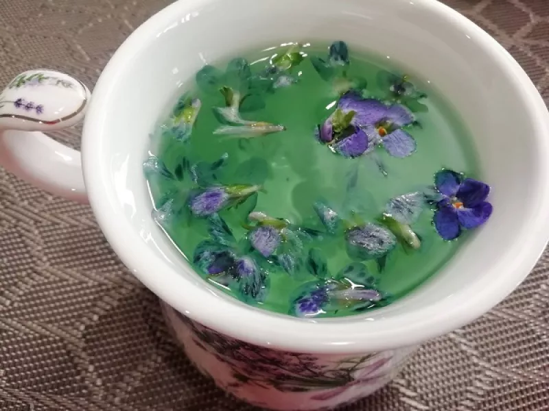 Liečivý fialkový čaj z čerstvých kvetov fialiek, babičkin RECEPT