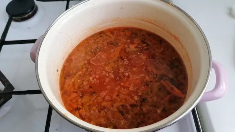 2. Pridáme nakrájanú zeleninu a cez noc namočenú šošovicu, posypeme červ. mletou paprikou. Zalejeme vodou (tak 2 dcl, aby bolo všetko akurát zaliate). Pridáme nové a čierne korenie, bobkový list. Varíme asi pol hodinu až do zmäknutia zeleniny a šošovice.