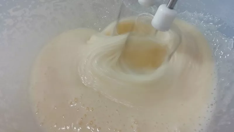 1. Vajcia vyšľaháme spolu s cukrom do penista. Môžeme mixérom, ale aj ručne. Mixérom si ušetríme čas.