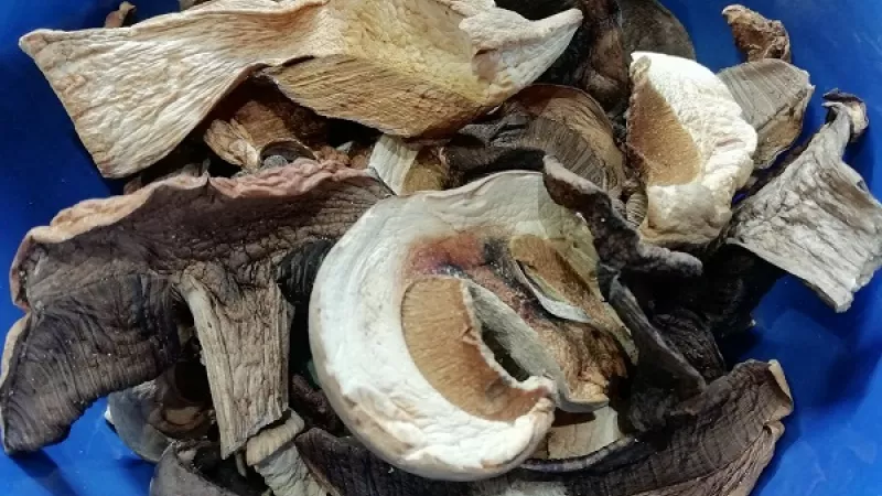 1. Sušené huby namočíme do studenej vody aspoň na 10 minút, aby zmäkli. Jušku - vodu z kyslej (kvasenej) kapusty si zriedime podľa chuti vodou. Záleží, akú kyslú mačanku si chceme pripraviť. Je to veľmi dôležité, aby nebola domáca mačanka príliš kyslá.
