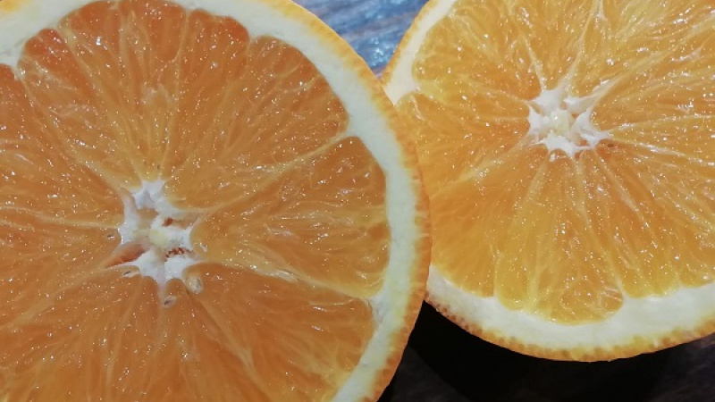 5. Pečienky osolíme. K restovaniu pridáme šťavu z jedného pomaranča (aj viac podľa šťavnatosti). Pomarančová šťava dodá vynikajúcu chuť.