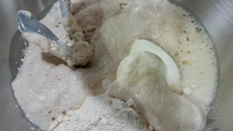 2. Do misky pridáme špaldovú múku, vlažné mlieko, olej, cukor, soľ. Nakoniec pridáme vykysnutý kvások. Rukou, mixérom s hnetacími metličkami, alebo v robote s hnetacím hákom vymiesime vláčne cesto, ktoré sa musí pekne odlepovať od nádoby.