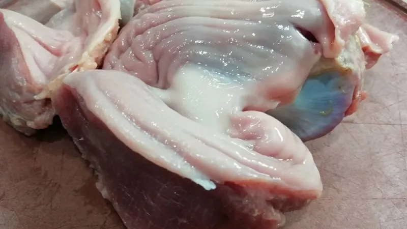 1. Na prípravu žalúdkov na prírodno môžeme zvoliť nielen žalúdky morčacie, ale aj žalúdky kuracie. Výber je iba na vás. Žalúdky dobre umyjeme, osušíme, zbavíme nevhodných častí.