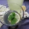 Najlepší domáci bazový sirup, jednoduchý RECEPT