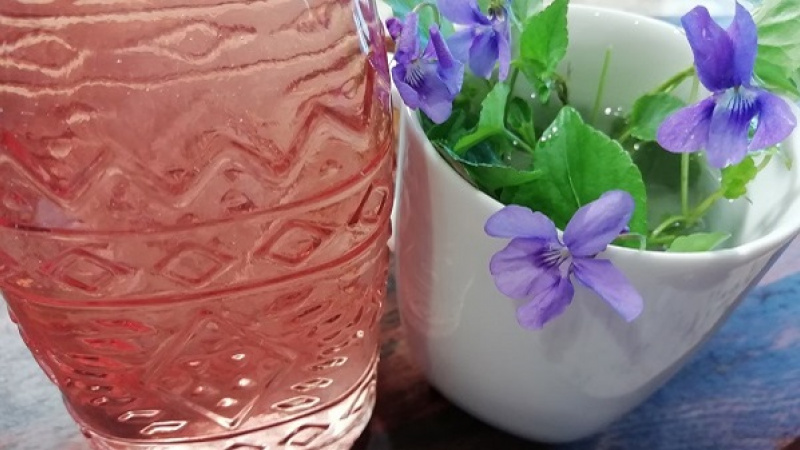 7. Domáci sirup z fialiek je výborným sladidlom do šalátov, čajov a kávy. Môžeme ho pridať aj do koláčov, poliať nim palacinky alebo lievance.  