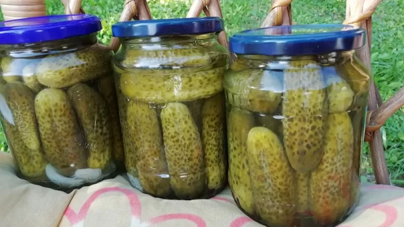  Tip Dobrej kuchyne: Ak by viečka na pohároch po sterilizovaní dobre nepriliehali, uhorky skladujeme v chladničke. Po mesiaci, keď budú 