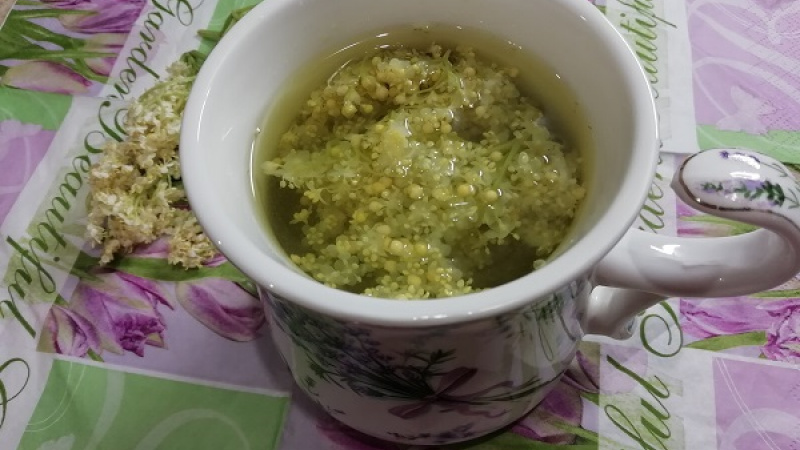 5. Na jednu šálku (250 ml) potrebujeme 4 malé lyžičky usušenej bazy. Voda by nemala byť úplne vriaca. Bazový čaj prikryjeme a necháme lúhovať 10 minút, potom ho scedíme. Môžeme ho ešte dosladiť. 